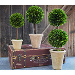 Mills Floral topiaries